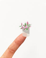 House Plants Clear Stickers - 17 Stickers