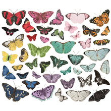Butterfly Journey Die Cut Pieces